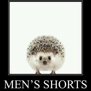 Men’s shorts